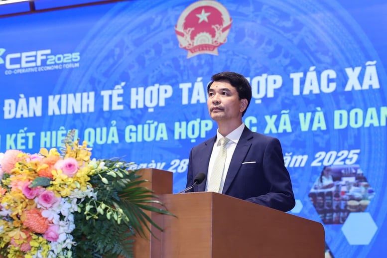 Liên kết hợp tác xã-doanh nghiệp: Kiến nghị sửa đổi chính sách, ưu đãi đồng bộ về thuế, tín dụng- Ảnh 2.