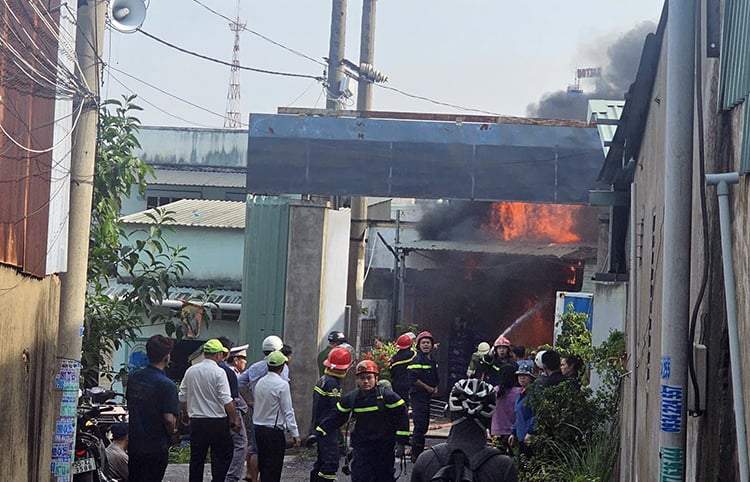 Λεζάντα φωτογραφίας