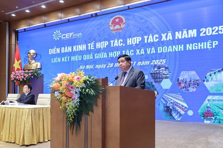 Phó Thủ tướng Nguyễn Chí Dũng: Phải coi hợp tác xã là đối tác kinh doanh bình đẳng- Ảnh 1.