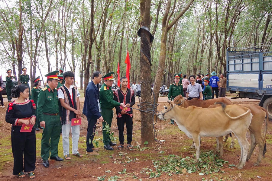 نیشنل ڈیفنس اکنامک گروپ 715 کے رہنما حیاتیاتی بیج لوگوں کے حوالے کر رہے ہیں۔