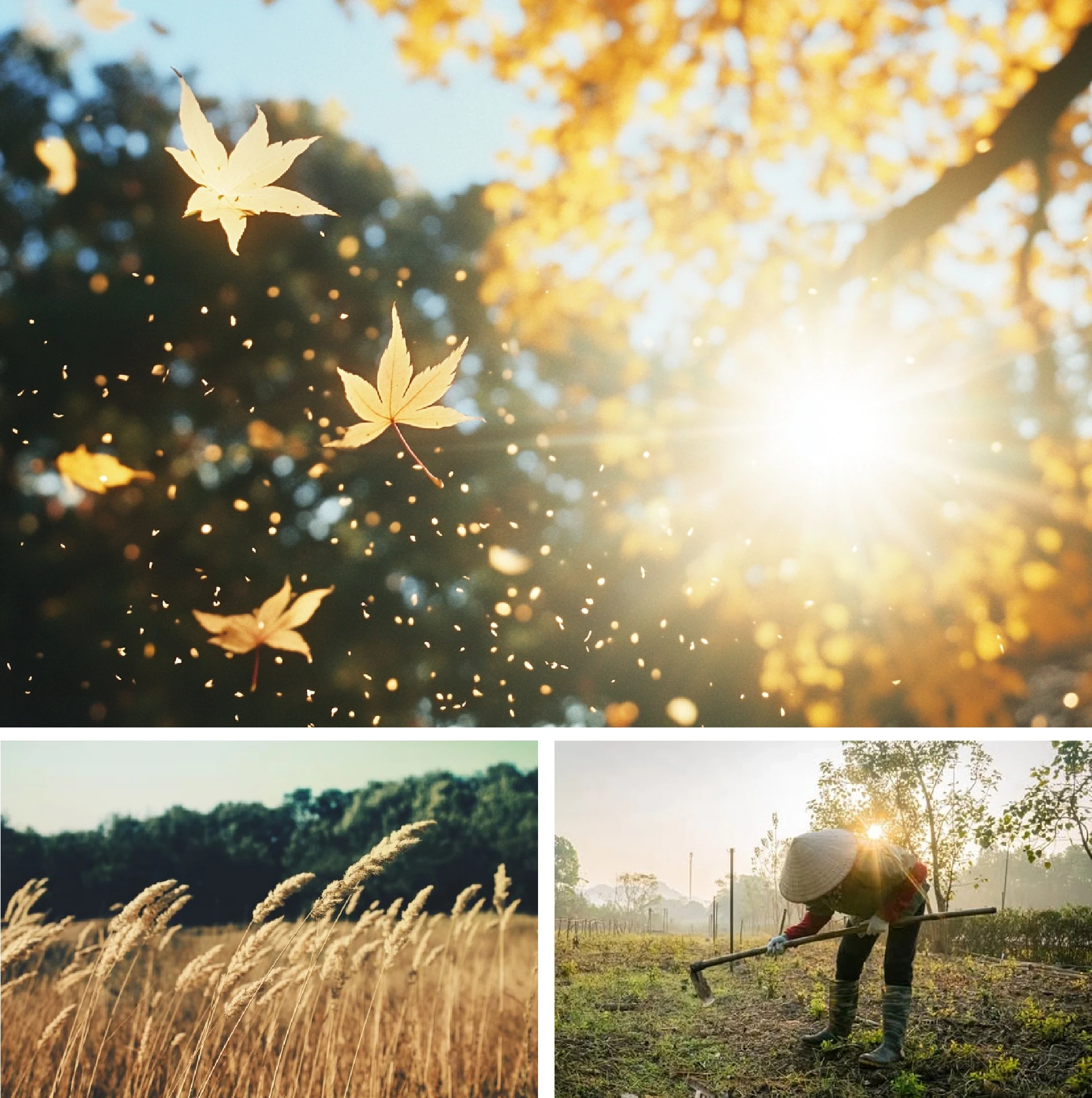 [E-Magazine]: Finding myself in very small peace