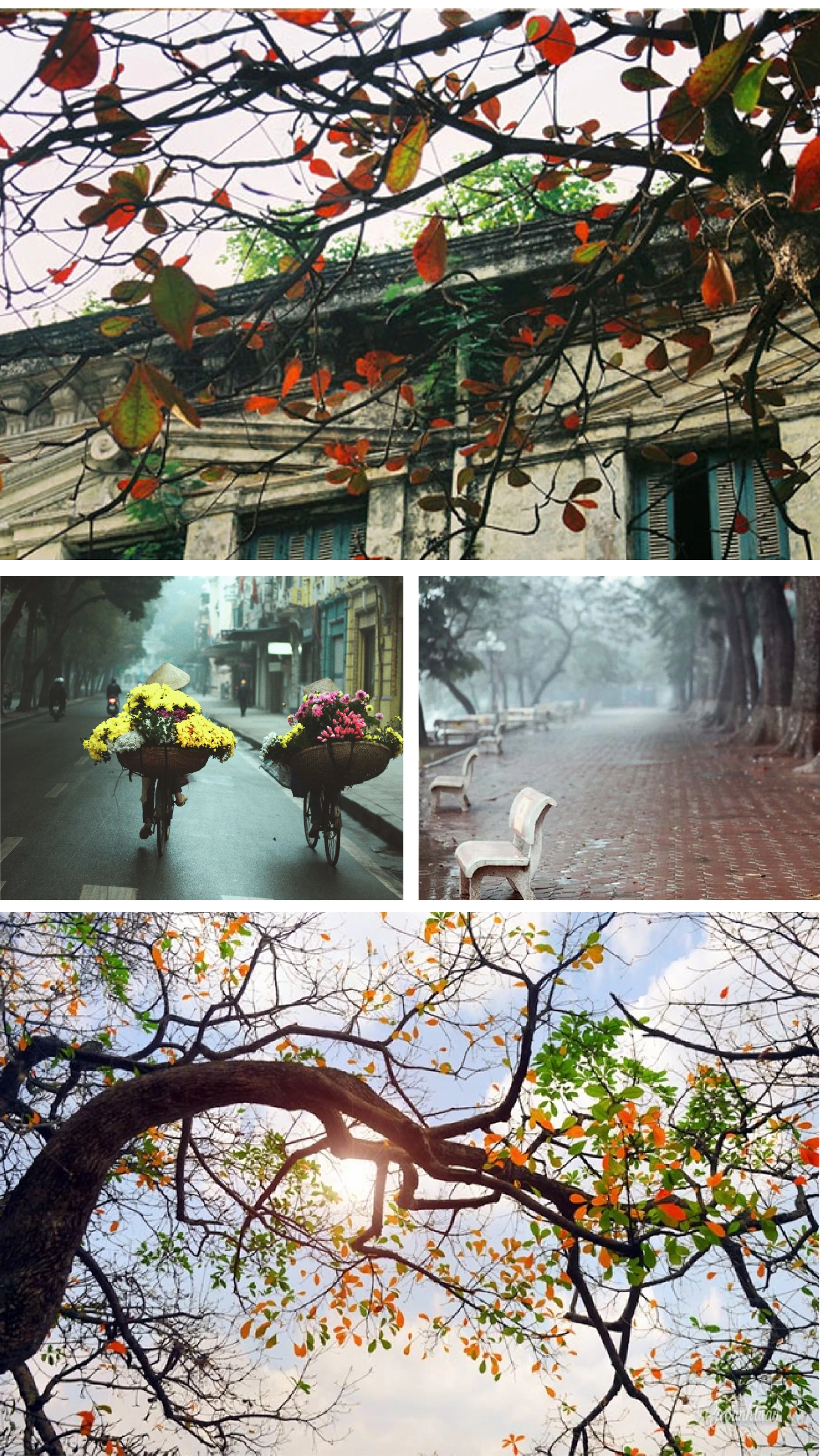 [E-Magazine]: Finding myself in very small peace