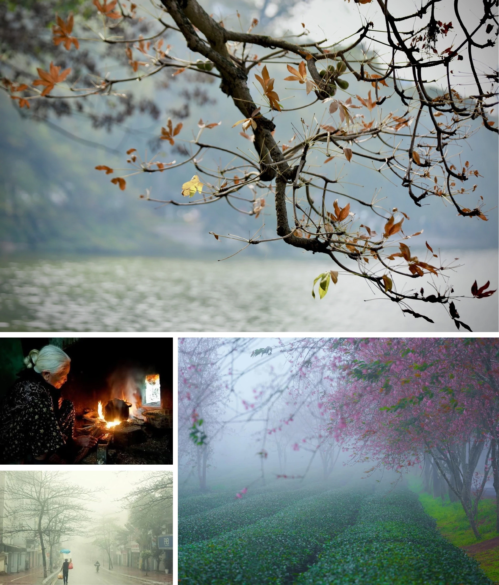 [E-Magazine]: Finding myself in very small peace