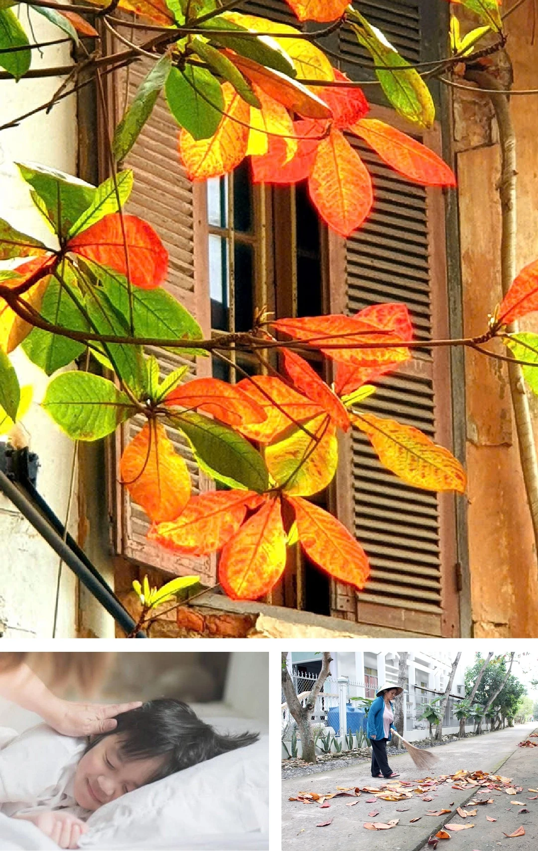 [E-Magazine]: Finding myself in very small peace