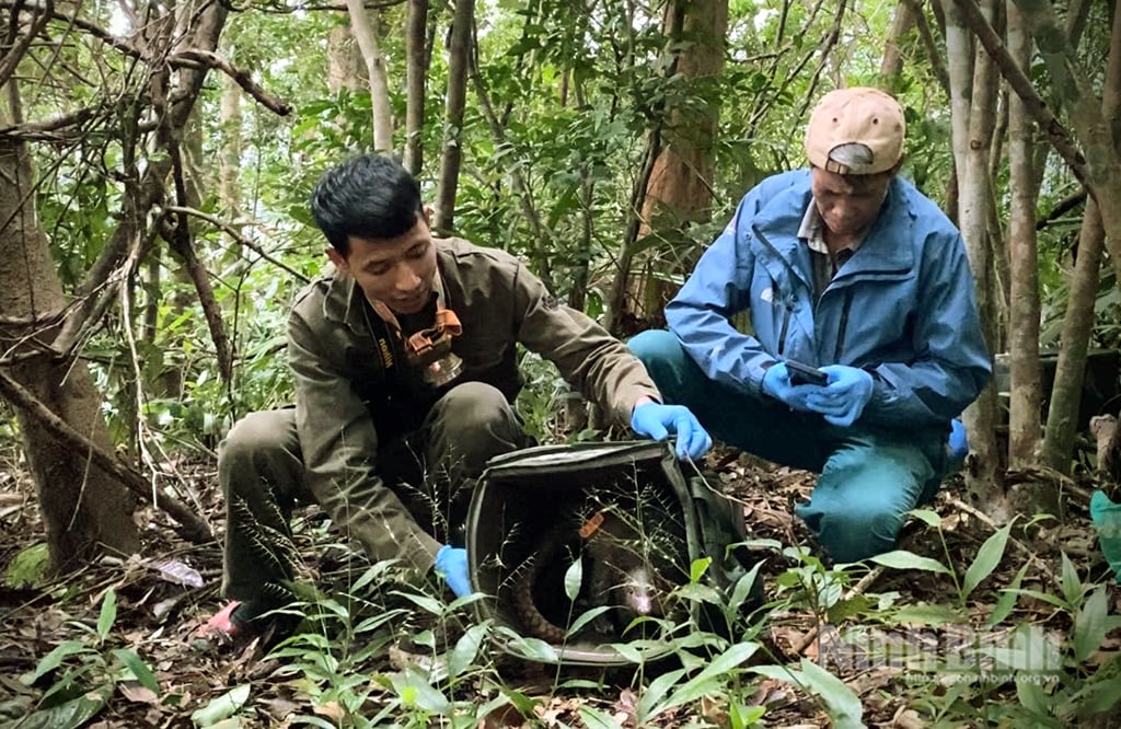 Saha personeli uygun salınım alanlarını dikkatlice seçer.