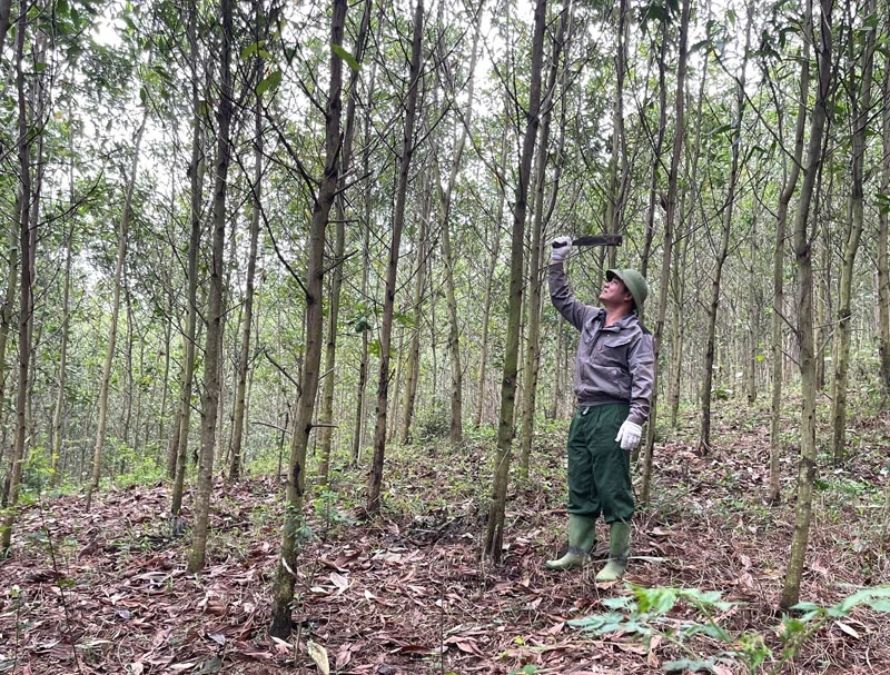 Ngoc Trao propaguje potenciál a výhody pro udržitelný socioekonomický rozvoj