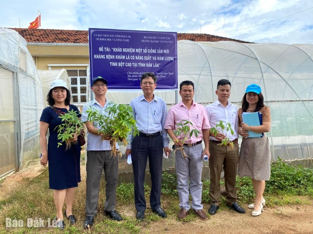 Professor Associado, Dr. Nguyen Van Minh em