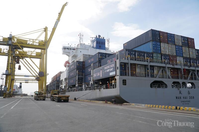 Logistics experts say Da Nang has the potential and advantages to become an international freight transit point.