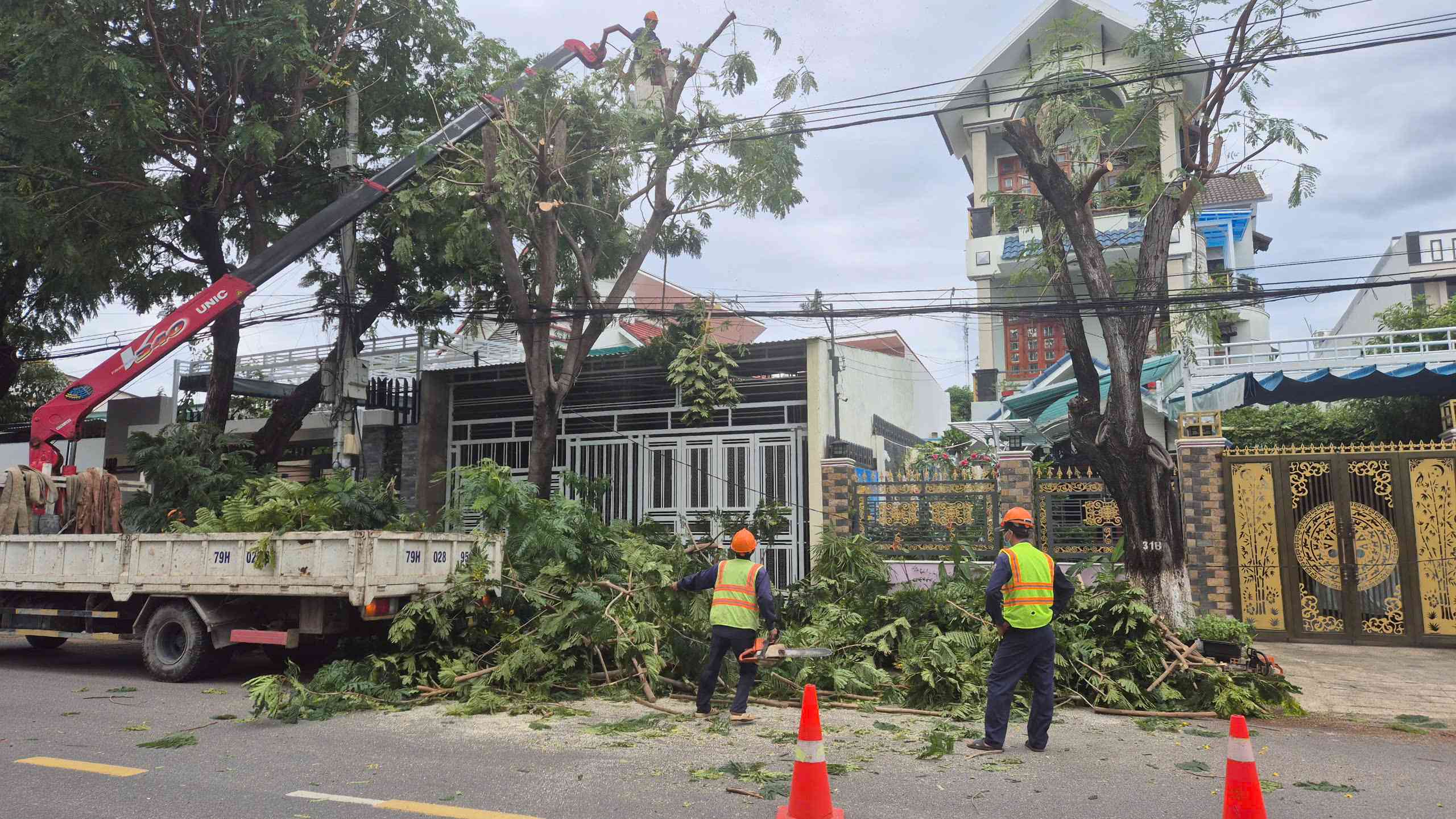 Anställda på Cam Ranh Urban Environment Joint Stock Company beskär trädgrenar på Pham Van Dong Street.