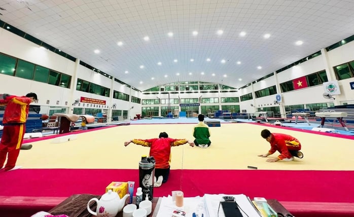 Tuyển thể dục dụng cụ dự World Cup, quyết 