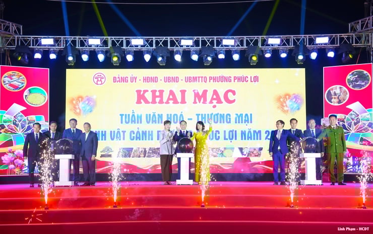 Khai mạc Tuần Văn hóa - Thương mại - Sinh vật cảnh phường Phúc Lợi năm 2025- Ảnh 1.