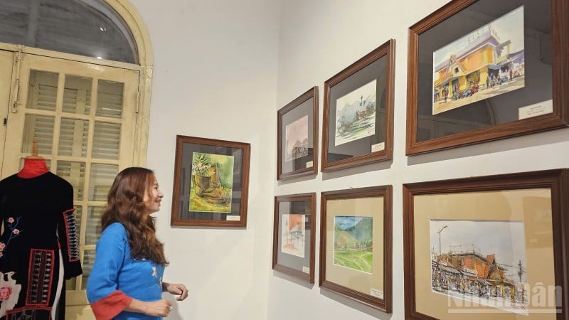 นิทรรศการนี้จัดแสดงภาพร่างเกือบ 150 ภาพ