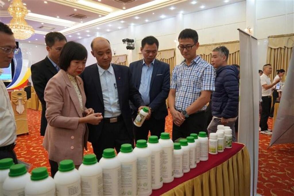 Da Nang pretende se tornar o centro de inovação das Terras Altas Centrais - Foto 2. Đà Nẵng hướng tới trung tâm đổi mới sáng tạo của miền Trung - Tây Nguyên- Ảnh 2.