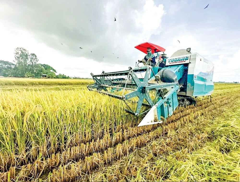 Cần Thơ thúc đẩy đổi mới sáng tạo hướng tới mục tiêu Net Zero- Ảnh 1.