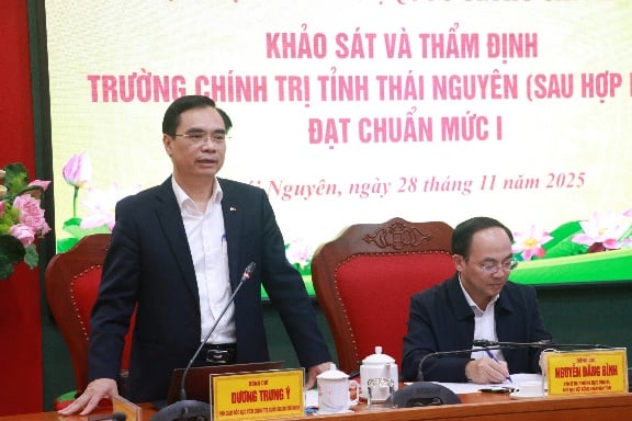 תמונה 20251128234321 3