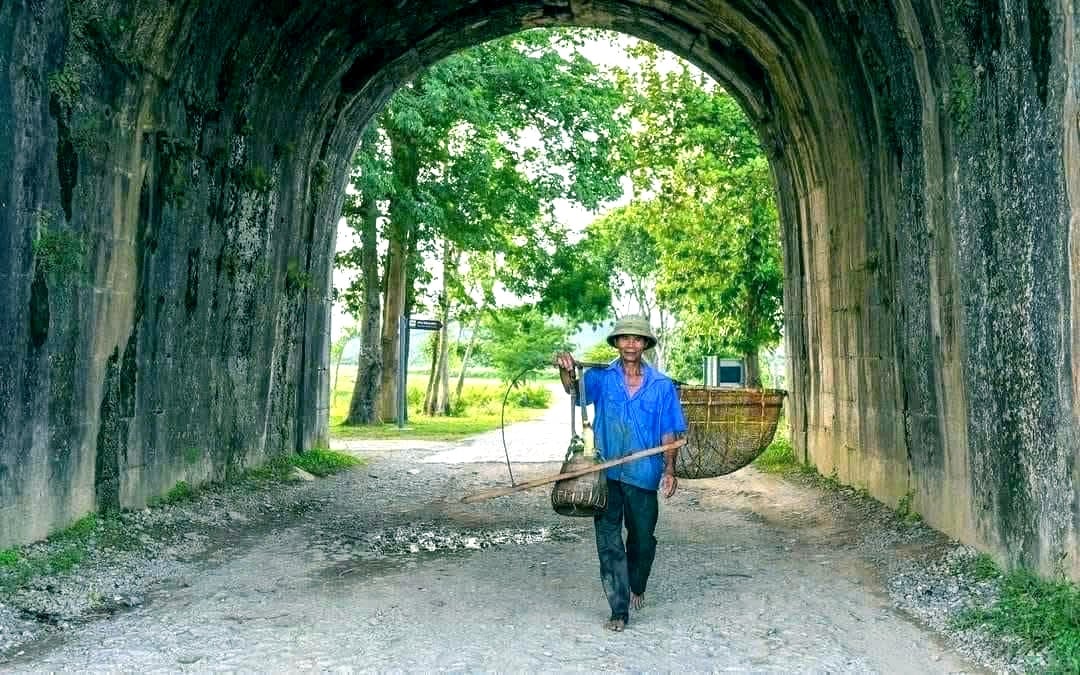 a4Tourists enjoy the buffalo cart experience.jpg