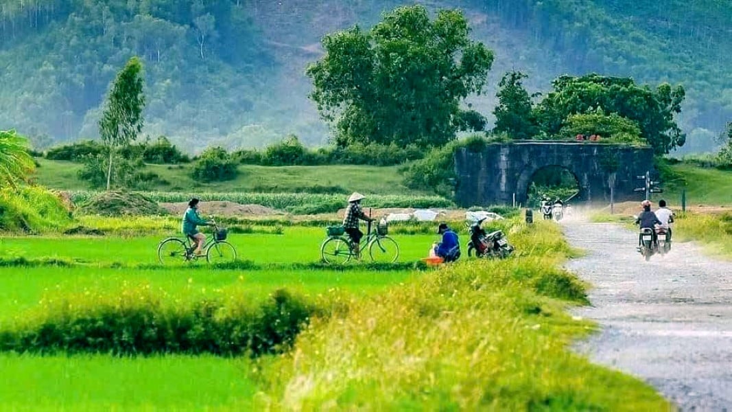 a5ນັກທ່ອງທ່ຽວເພີດເພີນກັບລົດເຂັນຄວາຍ experience.jpg