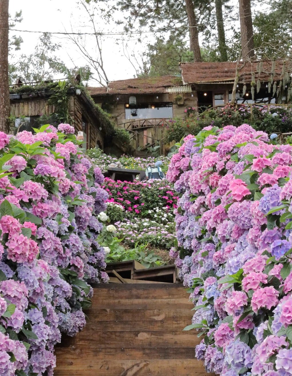 Eieren forvandles til en fe, snakker med en sverdkampstemme, og antallet kunder på kaffebaren Da Lat skyter i været – 2