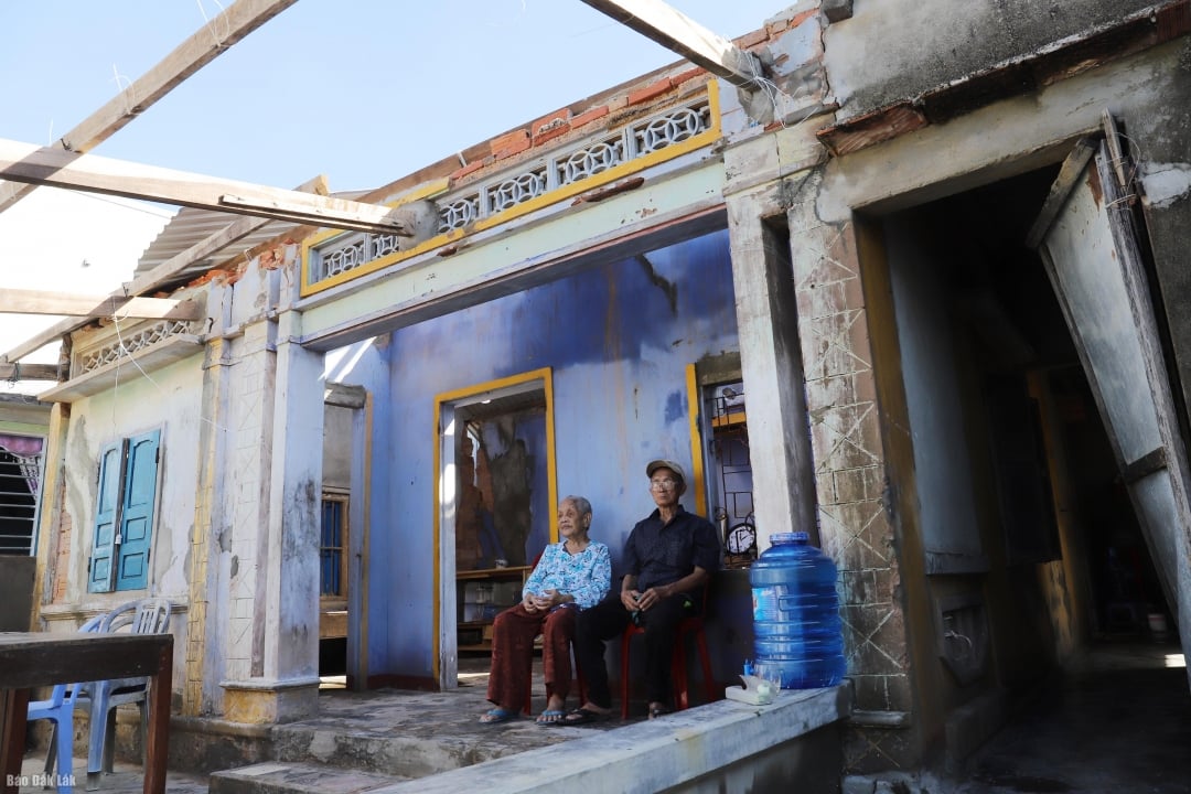 Ordföranden för den provinsiella folkkommittén begärde att hela provinsen skulle påbörja byggandet samtidigt från och med den 1 december 2025 och slutföra nybyggda hus före den 15 januari 2026; reparerade hus måste vara färdigställda före den 15 december 2025.