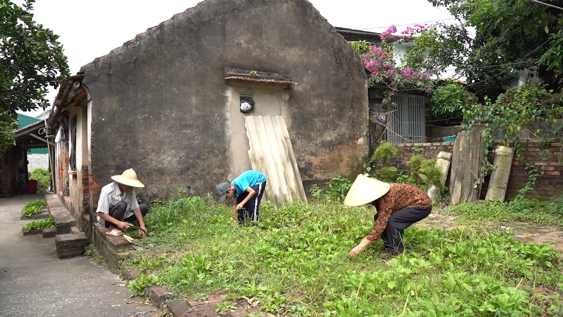סבה וסבתה של טרי האו, המפרנסים בזקנתם, עדיין מטפלים בבתם ובנכדם הצעיר, החולה בנפש, מדי יום.