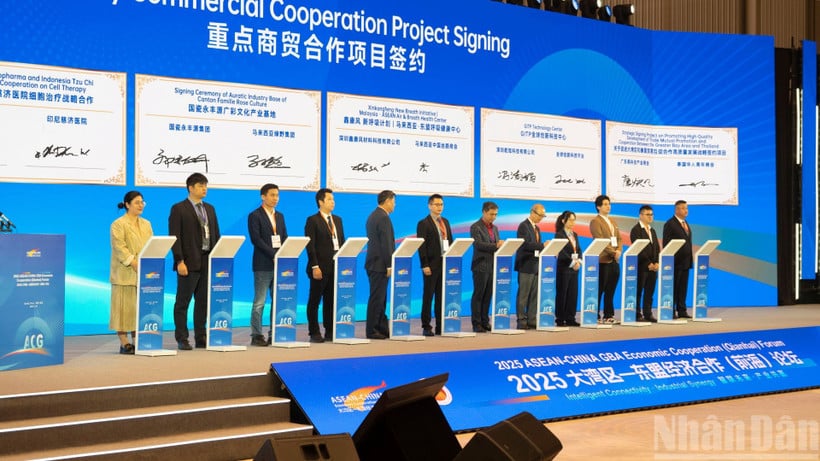 Gazdasági és kereskedelmi együttműködési projektek aláírási ünnepsége a megnyitó ünnepségen.