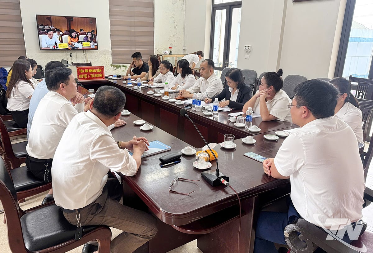 Professionele activiteiten gerelateerd aan het thema digitale transformatie bij de Volksrechtbank van Regio 4.