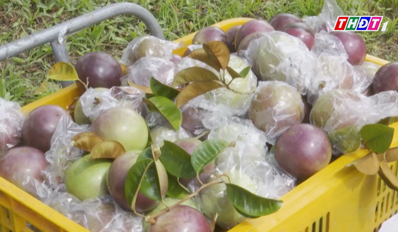 degetul mare lapte apple.gif