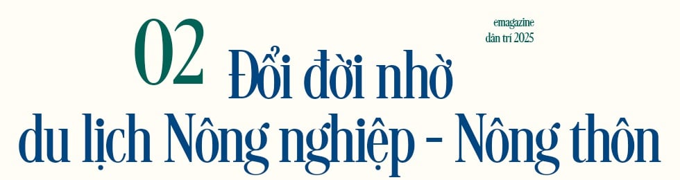 Уникальная деревня во Вьетнаме: вся деревня носит название Дуонг, домов в одном направлении - 7.