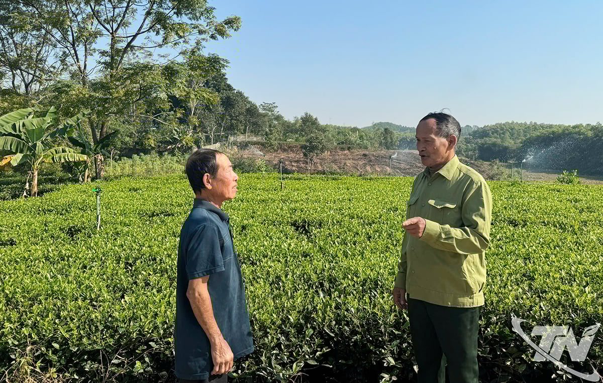 A veterán Nguyen Hong Quan (jobbra), Guoc Hamlet (Tan Cuong község) helyettes vezetője mindig is élvezte az emberek bizalmát.