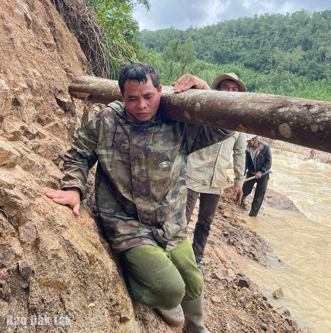 Phu Hai és Phu Dong lakói fát hordanak, hogy hidat építsenek a Suoi Gamon (Phu Hai) át.