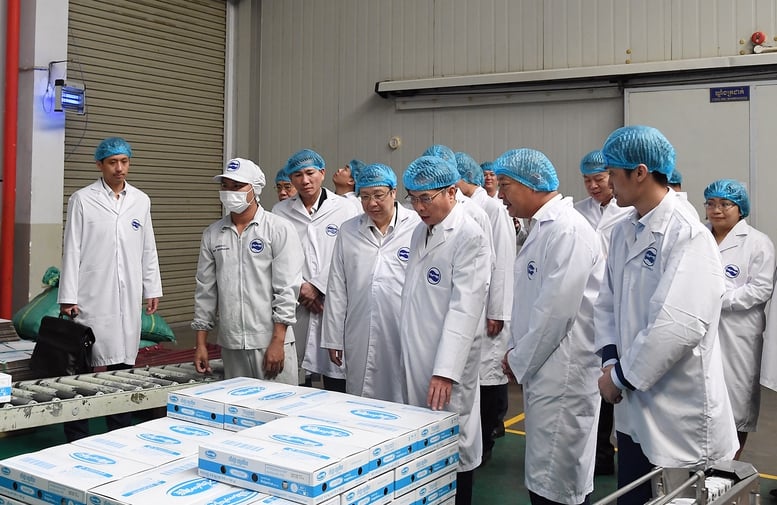 Phó Thủ tướng Bùi Thanh Sơn thăm các doanh nghiệp đầu tư tại Campuchia- Ảnh 3.