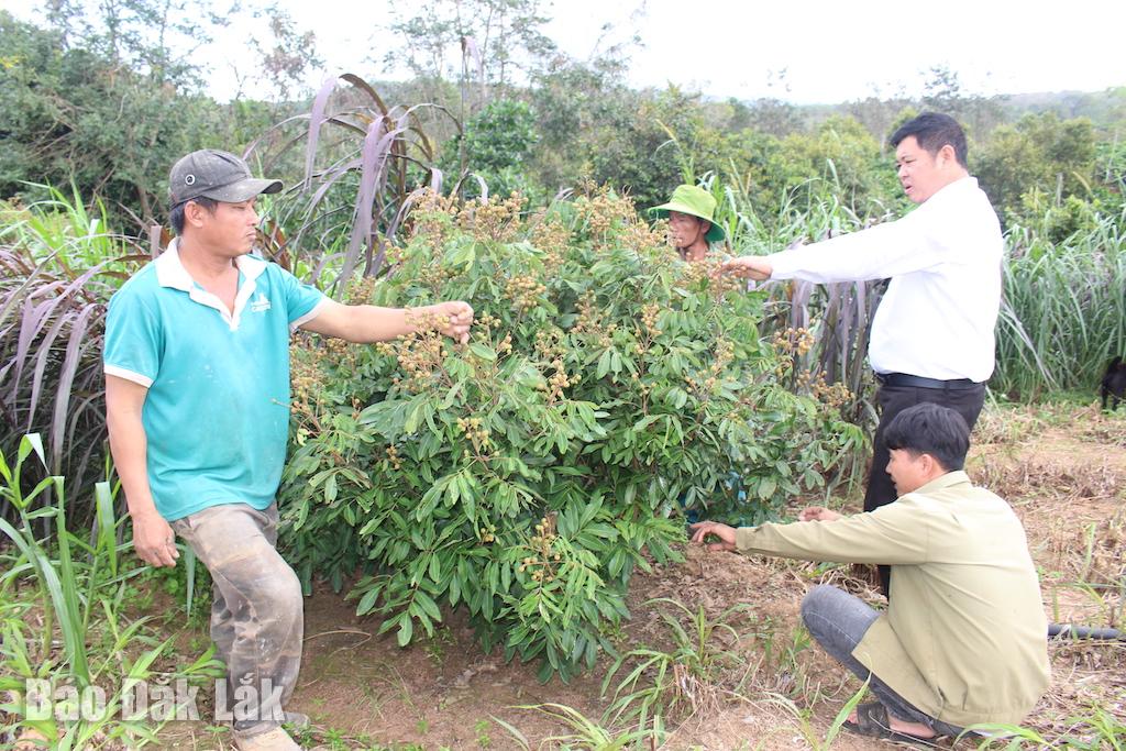 Komün Çiftçileri Derneği, üyelerinin ekonomik değeri yüksek tarımsal ürün modellerini öğrenmeleri amacıyla düzenli olarak organizasyonlar düzenliyor.