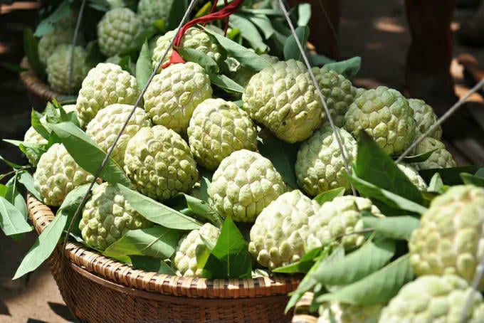 Fruta-do-conde - Uma marca famosa de produto agrícola em Lang Son.