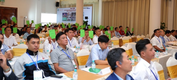 Ông Trần Anh Tú tái đắc cử chức Chủ tịch LĐBĐ TP HCM - Ảnh 2.