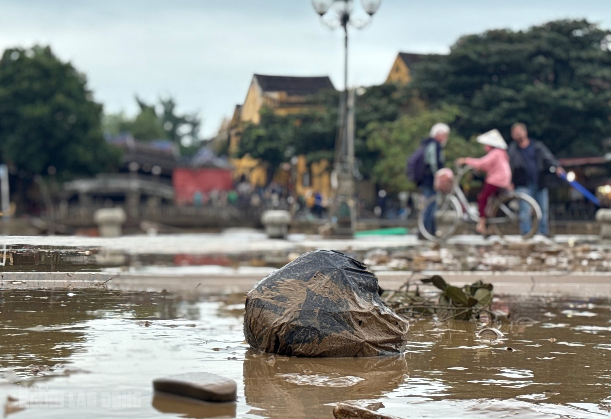 Hội An dọn dẹp sau lũ khẩn trương phục hồi sinh hoạt và vệ sinh đô thị - Ảnh 10.