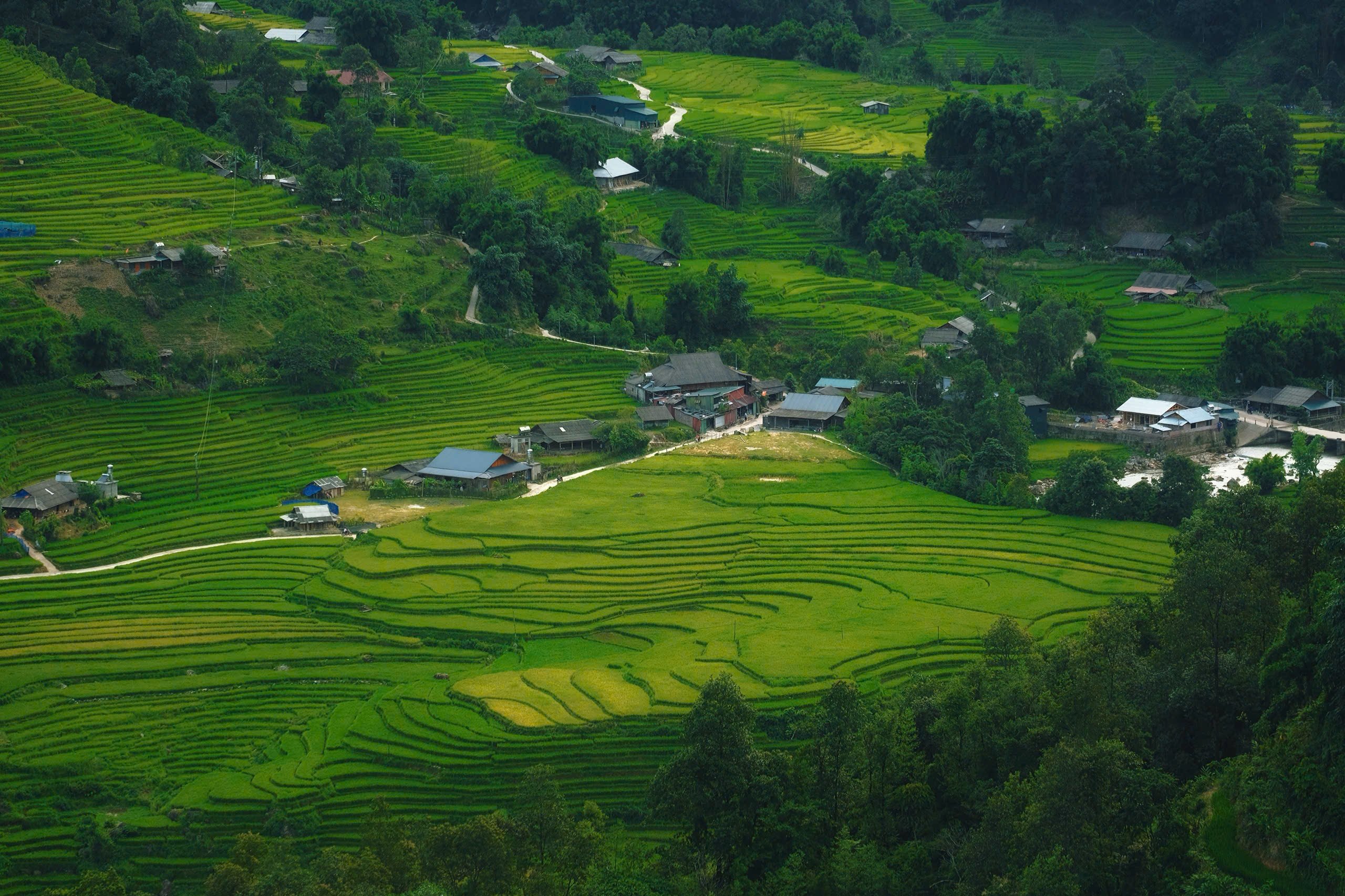 Turiști occidentali, turiști australieni fotografia 2