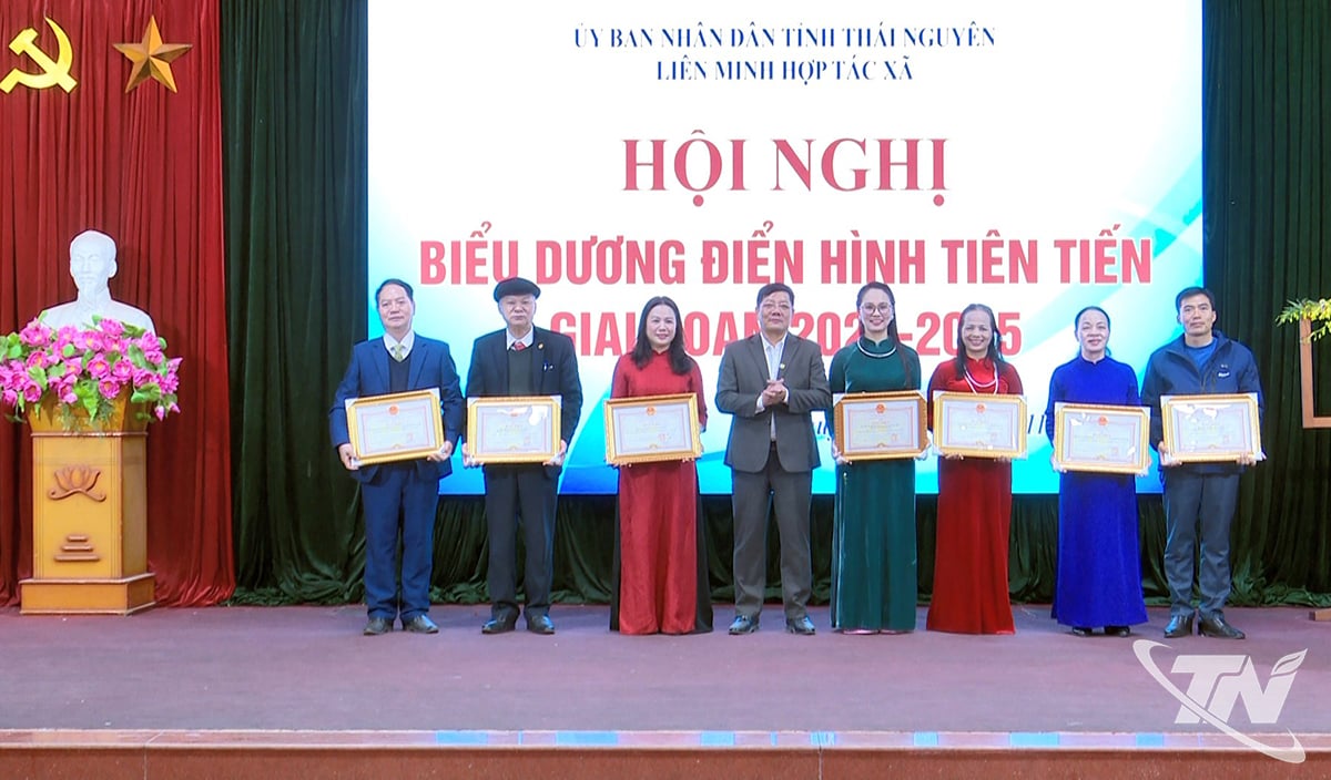 ປະທານ​ຄະນະ​ກຳມະການ​ປະຊາຊົນ​ແຂວງ ​ໄດ້​ມອບ​ໃບ​ຍ້ອງຍໍ​ໃຫ້ 9 ສະຫາຍ ​ແລະ 10 ບຸກຄົນ​ທີ່​ມີ​ຜົນງານ​ດີ​ເດັ່ນ​ໃນ​ການ​ພັດທະນາ​ເສດຖະກິດ​ລວມ 2024 ​ແລະ ການ​ເຄື່ອນ​ໄຫວ​ຮັກ​ຊາດ​ໄລຍະ 2020-2025.