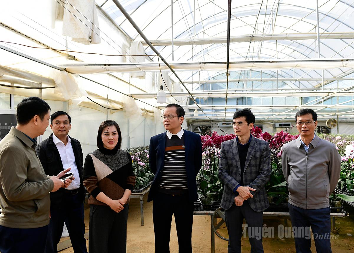 ການນຳບັນດາຕາແສງພ້ອມກັບຄະນະເຮັດວຽກໄປແລກປ່ຽນ ແລະ ຮຽນຮູ້ກ່ຽວກັບຮູບແບບການປູກກ້ວຍໄມ້ຂອງບໍລິສັດຫຸ້ນສ່ວນດອກໄມ້ເຂດຮ້ອນ, ຫວອດ ມົກເຈົາ.