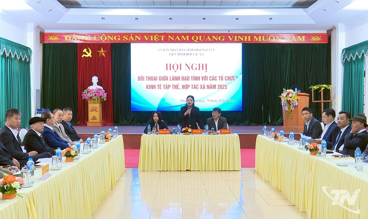 도 인민위원회 지도자와 협동조합 대표들은 집단 경제 부문의 활동과 직접 관련된 7개 주요 문제 그룹을 논의하고 답변하는 데 집중했습니다.
