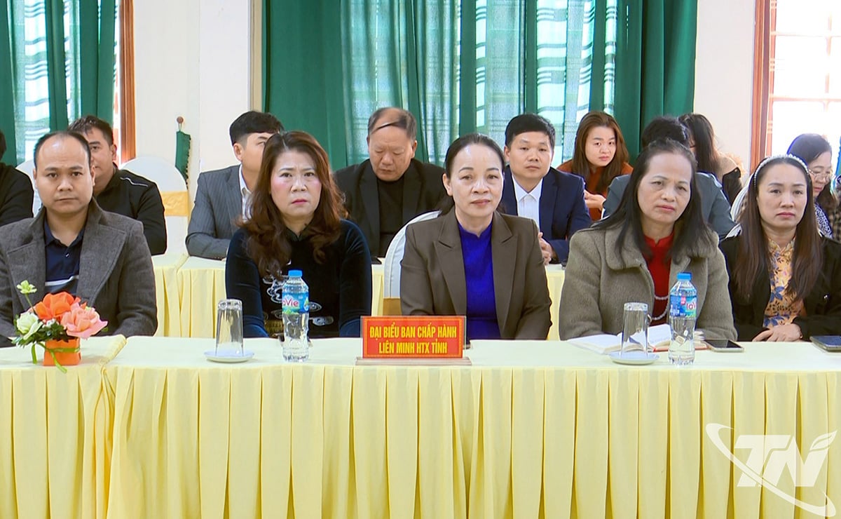 집단경제조직과 협동조합의 대표들이 대화 회의에 참여했습니다.