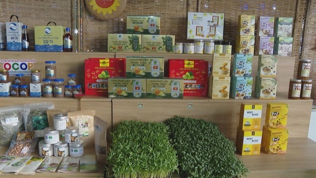 TP. Hồ Chí Minh khai mạc sự kiện kết nối giao thương sản phẩm OCOP lần thứ I - Ảnh 2.