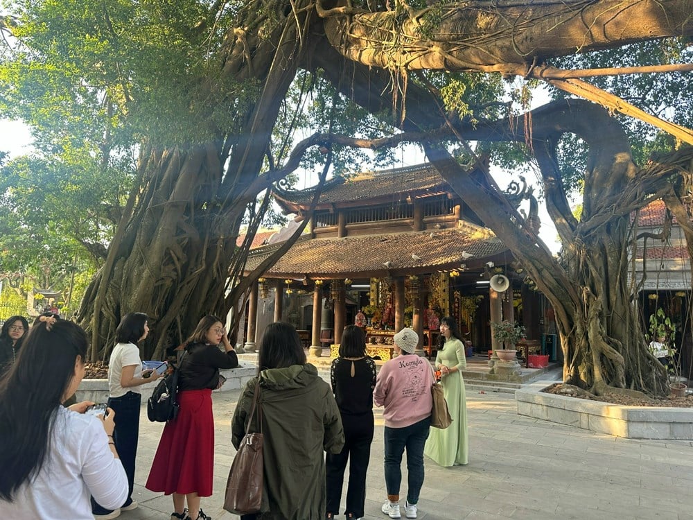 پائیدار ترقی کے لیے endogenous وسائل کو بیدار کرنا - تصویر 1