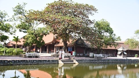 Keo Pagoda - شمالی ڈیلٹا کے مرکز میں ایک منفرد تعمیراتی ورثہ اور قومی خزانہ