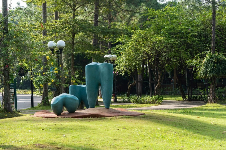 Bảo tàng Nghệ thuật đương đại - Ảnh 6.