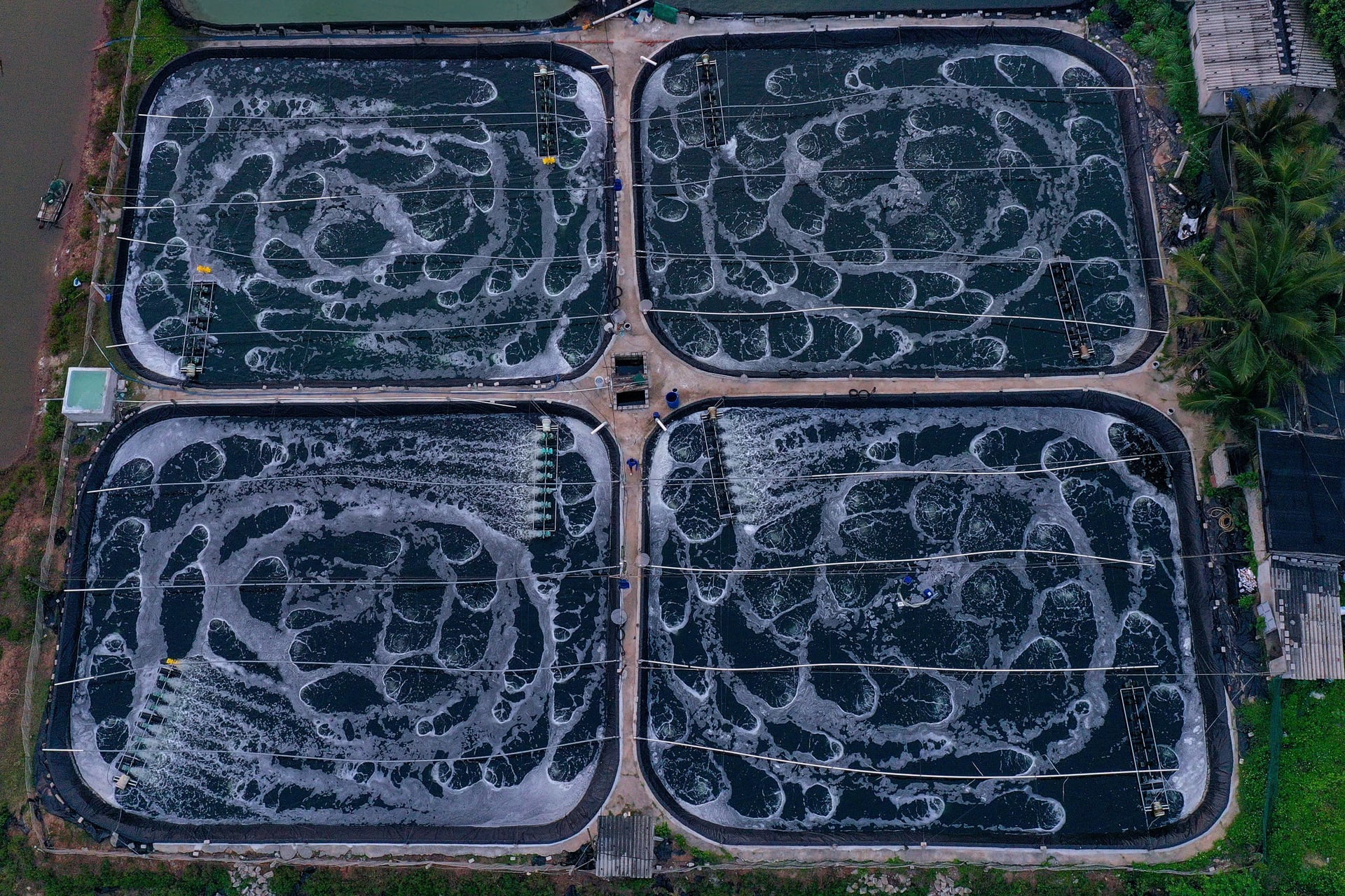 Mô hình hiệu quả chuyển đổi đất lúa sang đầm tôm tại xã Bình Minh, tỉnh Ninh Bình. Ảnh: Đỗ Trường