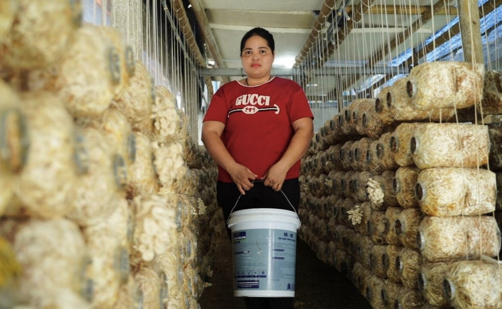 خانم Nguyen Thi Loan در کمون Van Thang، استان Ninh Binh. عکس: TYM. Chị Nguyễn Thị Loan ở xã Vạn Thắng, tỉnh Ninh Bình. Ảnh: TYM.