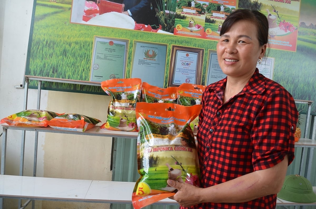 Chị Cao Thị Thủy, Giám đốc HTX Sản xuất, kinh doanh dịch vụ nông nghiệp Đoàn Kết bên sản phẩm gạo Nhật J02. Ảnh: Đinh Thanh Huyền.