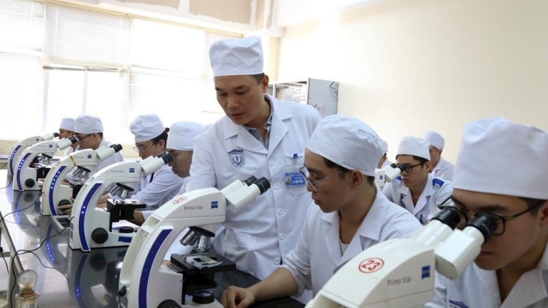 מרצה במחלקה לטפילים ואנטומולוגיה (האקדמיה לרפואה צבאית) מדריך סטודנטים בתרגול בדיקת דגימות טפיליות.