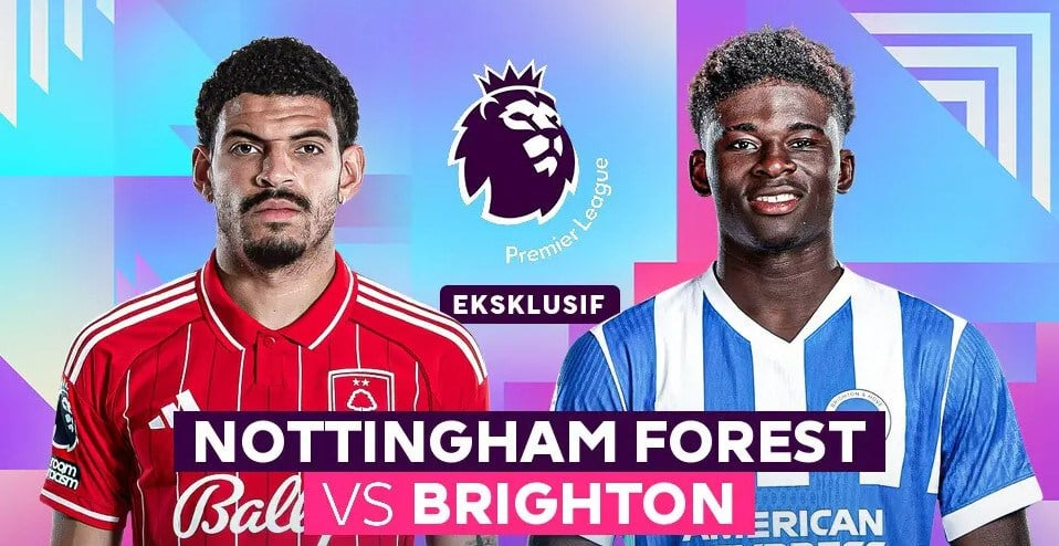 Nhận định trận đấu Nottingham vs Brighton, 21h05 ngày 30.11: Nối dài ngày vui - ảnh 1