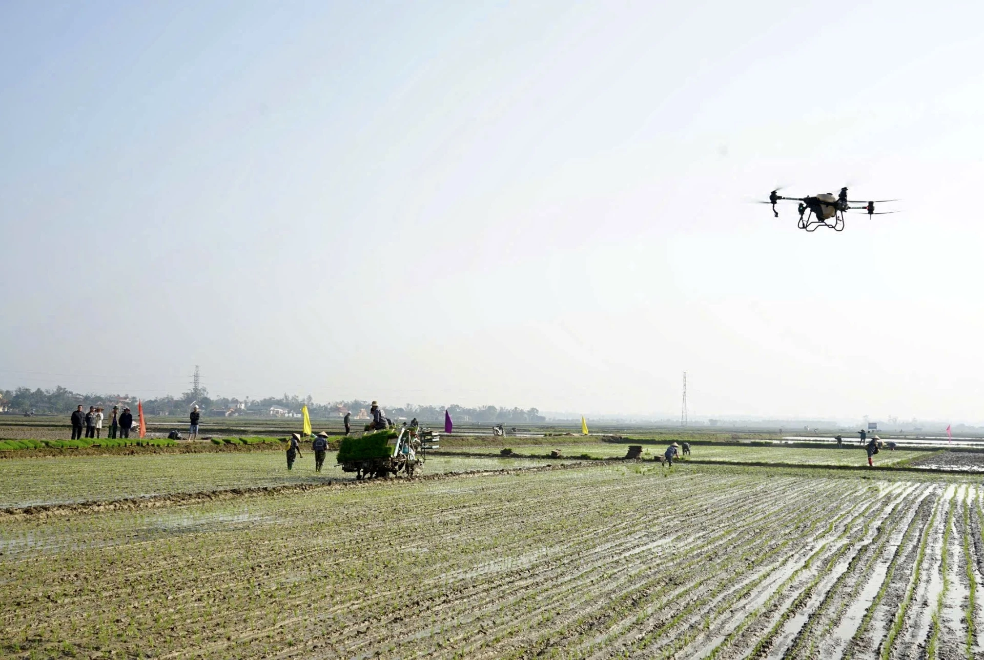 Quang Tri Trading Corporation tillämpar modern teknik för ekologisk risproduktion, är miljövänlig och säkerställer konsumenternas hälsa - Foto: N.B